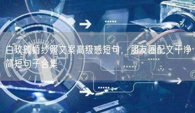 白玫瑰婚纱照文案高级感短句，朋友圈配文干净简短句子合集