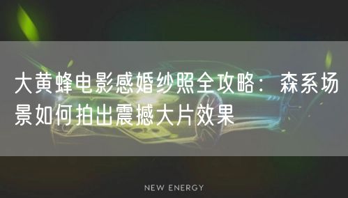 大黄蜂电影感婚纱照全攻略：森系场景如何拍出震撼大片效果