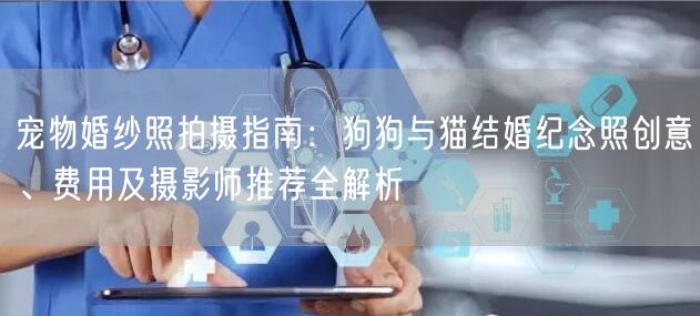 宠物婚纱照拍摄指南：狗狗与猫结婚纪念照创意、费用及摄影师推荐全解析