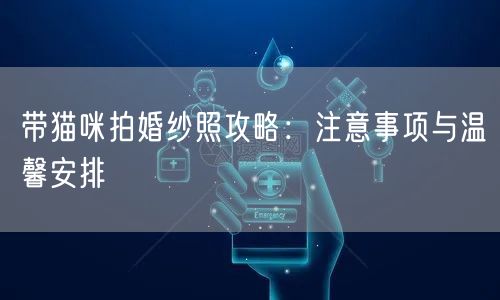 带猫咪拍婚纱照攻略：注意事项与温馨安排