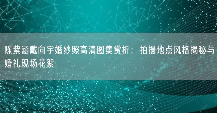 陈紫涵戴向宇婚纱照高清图集赏析：拍摄地点风格揭秘与婚礼现场花絮