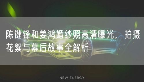 陈键锋和姜鸿婚纱照高清曝光，拍摄花絮与幕后故事全解析