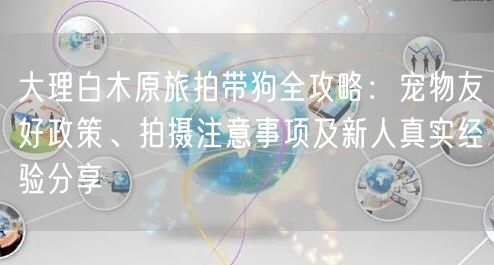 大理白木原旅拍带狗全攻略：宠物友好政策、拍摄注意事项及新人真实经验分享
