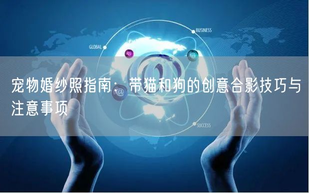 宠物婚纱照指南：带猫和狗的创意合影技巧与注意事项