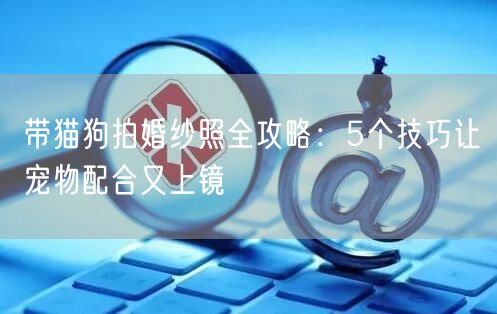 带猫狗拍婚纱照全攻略：5个技巧让宠物配合又上镜