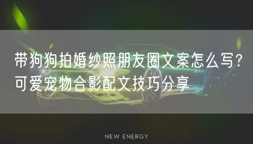 带狗狗拍婚纱照朋友圈文案怎么写？可爱宠物合影配文技巧分享