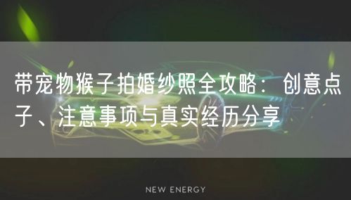 带宠物猴子拍婚纱照全攻略：创意点子、注意事项与真实经历分享