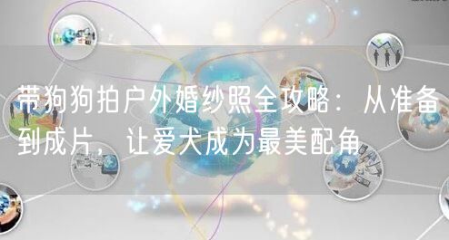 带狗狗拍户外婚纱照全攻略：从准备到成片，让爱犬成为最美配角