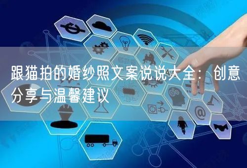 跟猫拍的婚纱照文案说说大全:创意分享与温馨建议