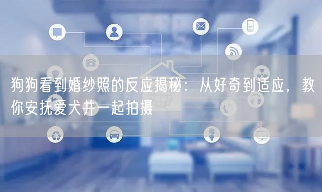 狗狗看到婚纱照的反应揭秘：从好奇到适应，教你安抚爱犬并一起拍摄