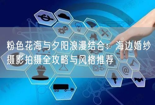 粉色花海与夕阳浪漫结合:海边婚纱摄影拍摄全攻略与风格推荐