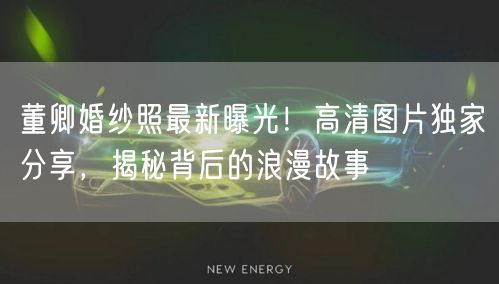 董卿婚纱照最新曝光！高清图片独家分享，揭秘背后的浪漫故事