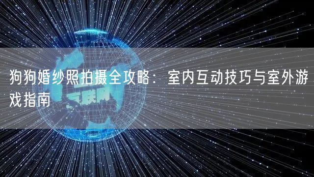 狗狗婚纱照拍摄全攻略:室内互动技巧与室外游戏指南