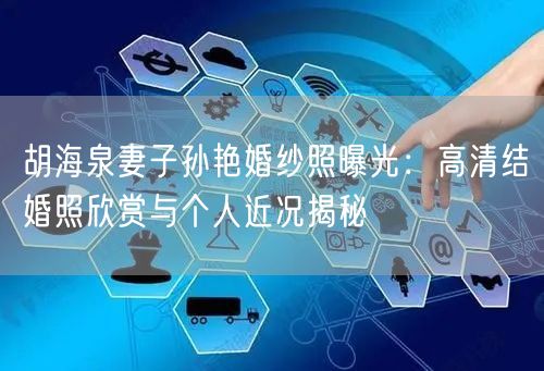 胡海泉妻子孙艳婚纱照曝光：高清结婚照欣赏与个人近况揭秘