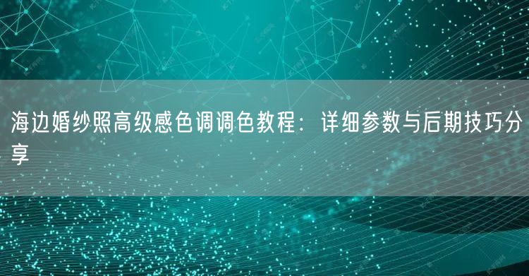 海边婚纱照高级感色调调色教程：详细参数与后期技巧分享