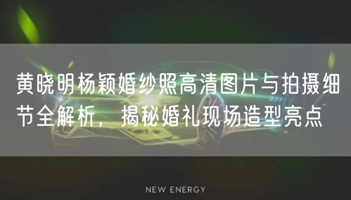 黄晓明杨颖婚纱照高清图片与拍摄细节全解析,揭秘婚礼现场造型亮点